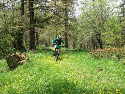 In discesa nel Bosco delle Navette in primavera | Ormea Outdoor & Mountain Biking