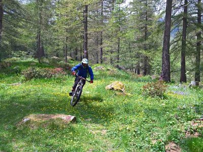 In discesa nel Bosco delle Navette in primavera | Ormea Outdoor & Mountain Biking
