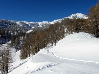 Lungo la militare Limone-Monesi innevata. Sullo sfondo, punta Bertrand | L. Reggiani - Archivio APAM
