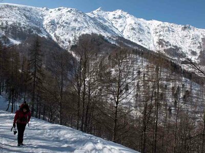 Lungo la pista forestale verso Gias Morteis. Sullo sfondo, la Besimauda | N. Villani